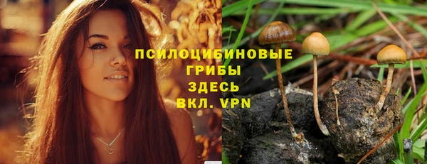 твердый Вязники